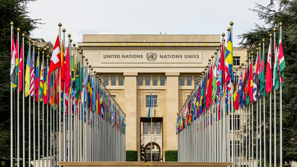 Why the United Nations Needs Reform